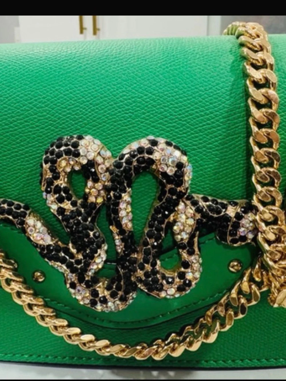 Aldo Green Crossbody Bag with Gold Chain and Crystal Snake Detail